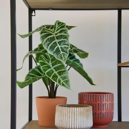 Parque Nações, Garagem, Ac, Varanda Appartement Lisboa